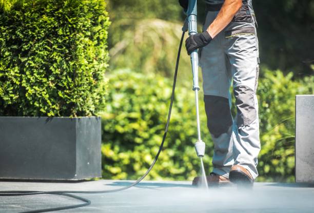 Best Building Exterior Washing  in Westmont, PA