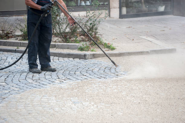 Animal Enclosure Cleaning in Westmont, PA